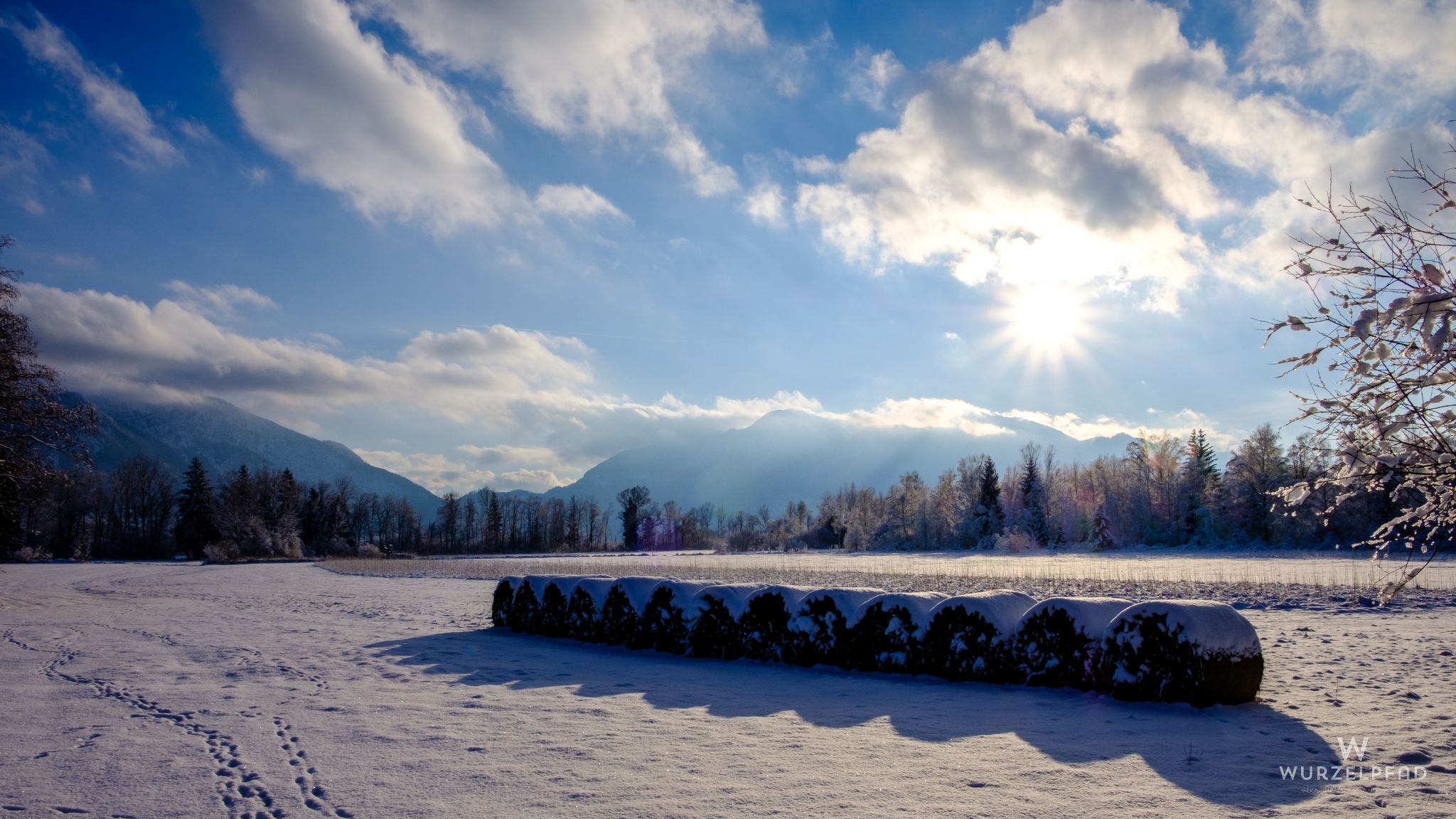 Blick gen Herzogstand